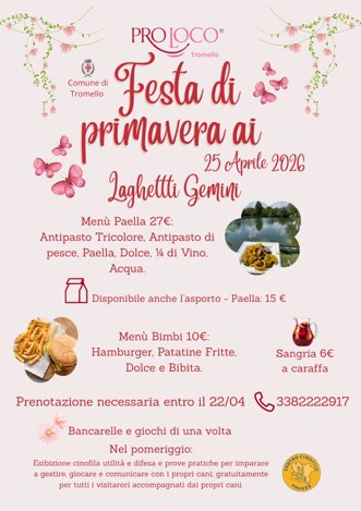 locandina mercatino di primavera 25 aprile tromello mercatiniecuriosita assopromoarte giochideinonni 2026.jpeg