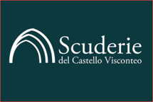 scuderiedelcastellovisconteopaviamercatiniecuriosita