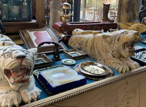 img_1324.jpeg img_1324.jpeg