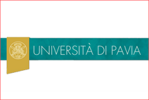 universitdipaviamercatiniecuriosita