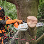 motosega-a-batteria-stihl-msa-220-tc-o-30-cm