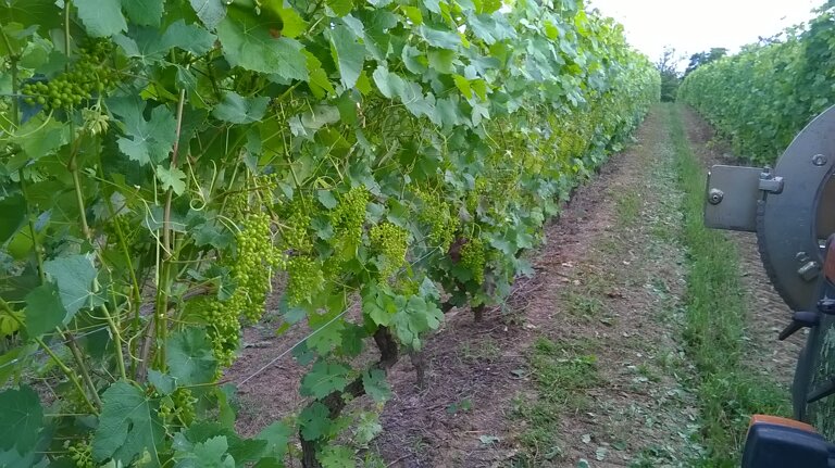 75d7cede-18c6-4764-8c66-8b60b8c8a713