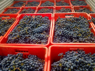 6bb3bd6d-2f18-411c-8fa1-7184acdb187d 6bb3bd6d-2f18-411c-8fa1-7184acdb187d