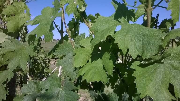 c17d8de4-f1d8-42bf-9bf1-9702e7ebb4c0