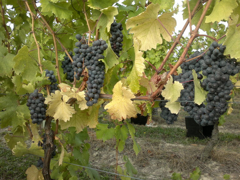 d2ff9cfb-1ff4-4d03-8d75-deeceed5b2a7