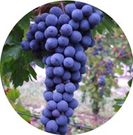 b505a094-1ffb-490b-b999-57d5ca11fa66.jpeg b505a094-1ffb-490b-b999-57d5ca11fa66.jpeg