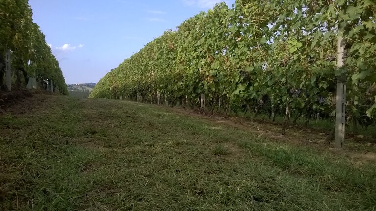 2cd01e6e-b496-49c3-bf41-a7dad414bf89