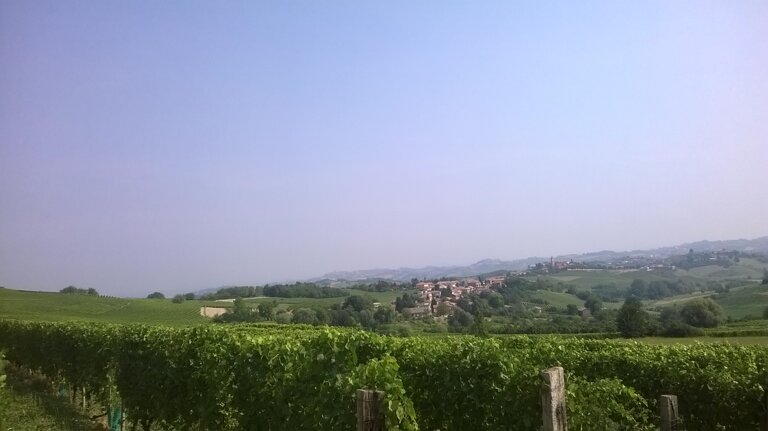 c8125301-5b59-45cd-bc0c-5c0c8559d67b