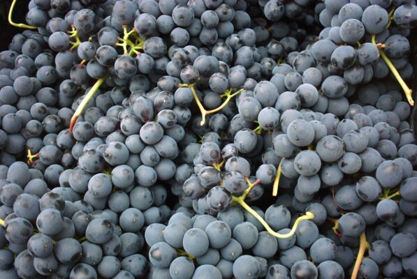 729cd4b2-c9d1-4788-bc89-7af2a791881b