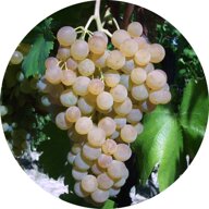 81b0028f-08a4-4c9e-99c6-aedbcf0c6564