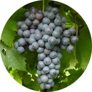 48b40aee-2167-4283-8549-8e2a0960a48d