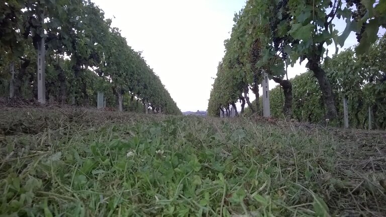 72352448-8201-4b7e-ac46-e431a2cff125