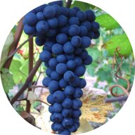 0acb11b3-0031-420d-bdaf-f8ccd7ed703d