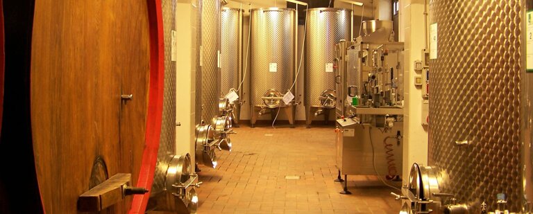 7f65d65a-e6a8-4b8d-bbda-ace5a88d2bee 7f65d65a-e6a8-4b8d-bbda-ace5a88d2bee