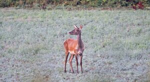 Ambiente Scrivia 2022