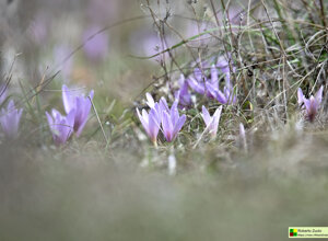 Ambiente Scrivia 2022