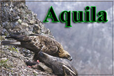 47c7dd66-b529-47c4-a6dd-d1372f7a1734