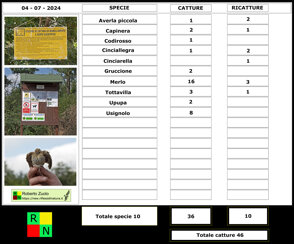 6f5e1abc-76f1-47c4-988e-f24f2e1b0be2