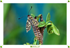 07-prima asciuga 1.jpeg 07-prima asciuga 1.jpeg