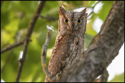 4680671f-c0f2-4a90-ad81-1a7be95a70c3