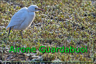 4d40e7fd-c58e-4716-8849-f11d76fa964f