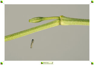 73dbe03e-09e5-4dd2-93b7-6993cfb15f0d