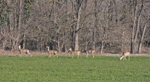 Ambiente Scrivia 2023