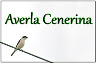 37e7dc27-ba64-4a43-b6e4-a4965c8cf306