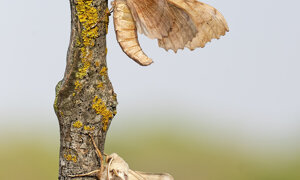 Ambiente Scrivia 2022