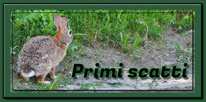 60428cf6-1871-40f7-b992-63ba68d84429