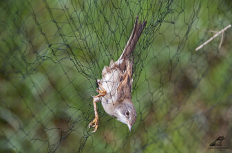 ce6e3c48-4b26-4b4b-b6db-1da42b524da1