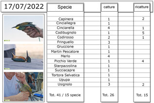 474e9e70-6e00-4763-aa41-66ae91ef1689