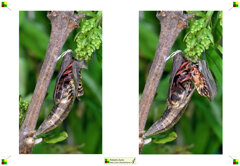 02-due.jpeg 02-due.jpeg