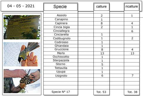 b5b2f15b-56ff-48d9-a46a-487b4756220a