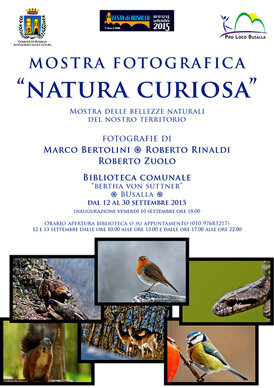 mostra-busalla
