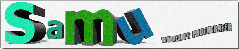 eb577237-595a-4301-8334-f26e95950744