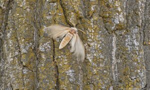 Ambiente Scrivia 2021