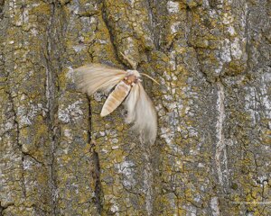 Ambiente Scrivia 2021