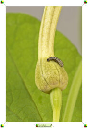 48b19d82-5f84-4ccc-8abd-57cb048df508