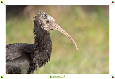 50e7e70f-0ea5-4826-8d84-af43f2cb51fe