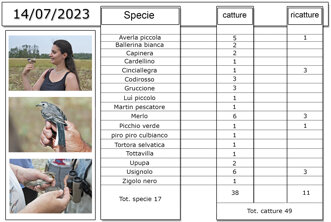 c1dda663-a4aa-4a7d-810d-a0d555915ccf