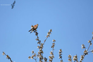 33aed880-015e-4a63-bb46-34ba89a60d3a