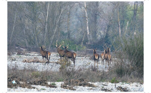 Ambiente Scrivia 2024