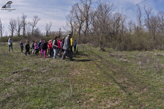 7d29dfec-41de-4850-8a75-ae0677ae3ee4