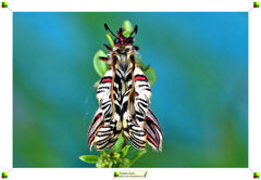 08-prima asciuga 2.jpeg 08-prima asciuga 2.jpeg