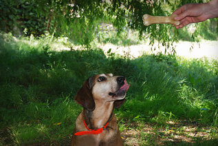 b088f045-05f0-4150-94ab-5ea1154a41b5