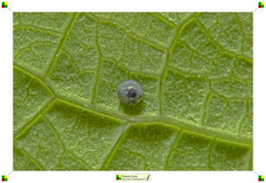 e4275ef8-b8d1-4d14-a459-eaaa06d175ed