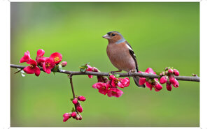 19c83488-7545-414a-a8ad-fae22823e703