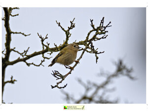 41a24ec9-c556-4277-b77c-66e506c5de5e