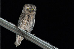 c8056221-d4b7-450f-a2ba-6fb950e2ef84